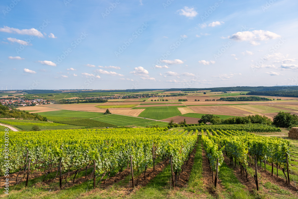 View over the Rhenish-Hessian landscape near Siefersheim/Germany, which is dominated by viticulture