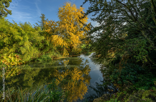 Trees with autumn color reflected in a lake, in sunlight with a blue sky
