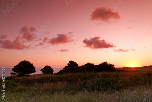 Coastal path of the Perthuis Breton cliffs in Charente Maritime coast 