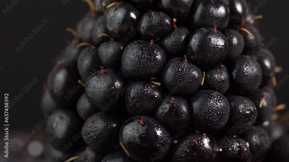 Juicy blackberries with water drops rotate on a black background macro. Blackberrie for marketing videos or promotions for restaurants, cafes and food video Juicy blackberries with water drops rotate on a black background macro. Blackberrie for marketing videos or promotions for restaurants, cafes and food video