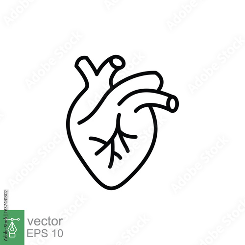 Human heart icon. Simple outline style. Internal organ, real, cardiology, cardiac anatomy, medical concept. Thin line symbol. Vector illustration isolated on white background. EPS 10.