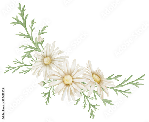 Daisy Flowers. Hand drawn Floral watercolor illustration of bouquet with white Chamomile on isolated background. Botanical drawing for greeting cards or wedding invitations. Artistic sketch for logo.