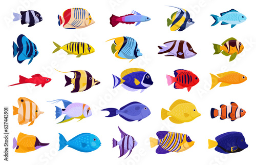 Cartoon tropical fish. Exotic aquarium fishes, emperor angelfish, sweetlips, moorish idol, koran angelfish, blue-cheek butterflyfish flat vector illustration set. Saltwater fish collection