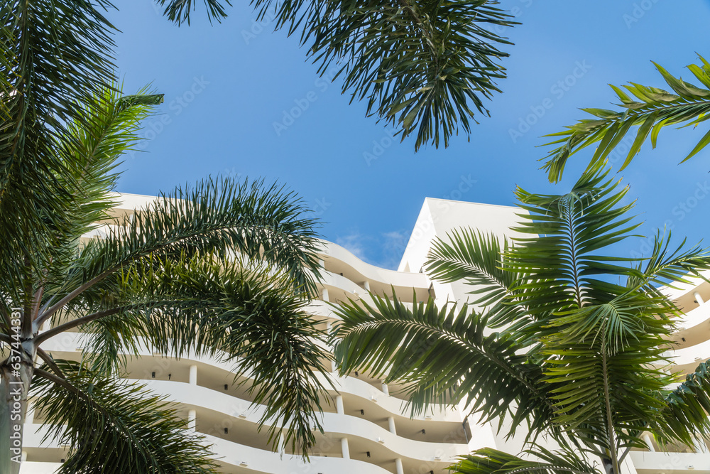 Fototapeta premium Beautiful tropical cityscape with modern architecture and palm trees view looking up. 