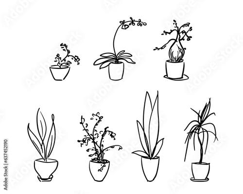 Potted plants and flowers isolated set Hand drawn illustration, Vector sketch, Houseplant flowerpot
