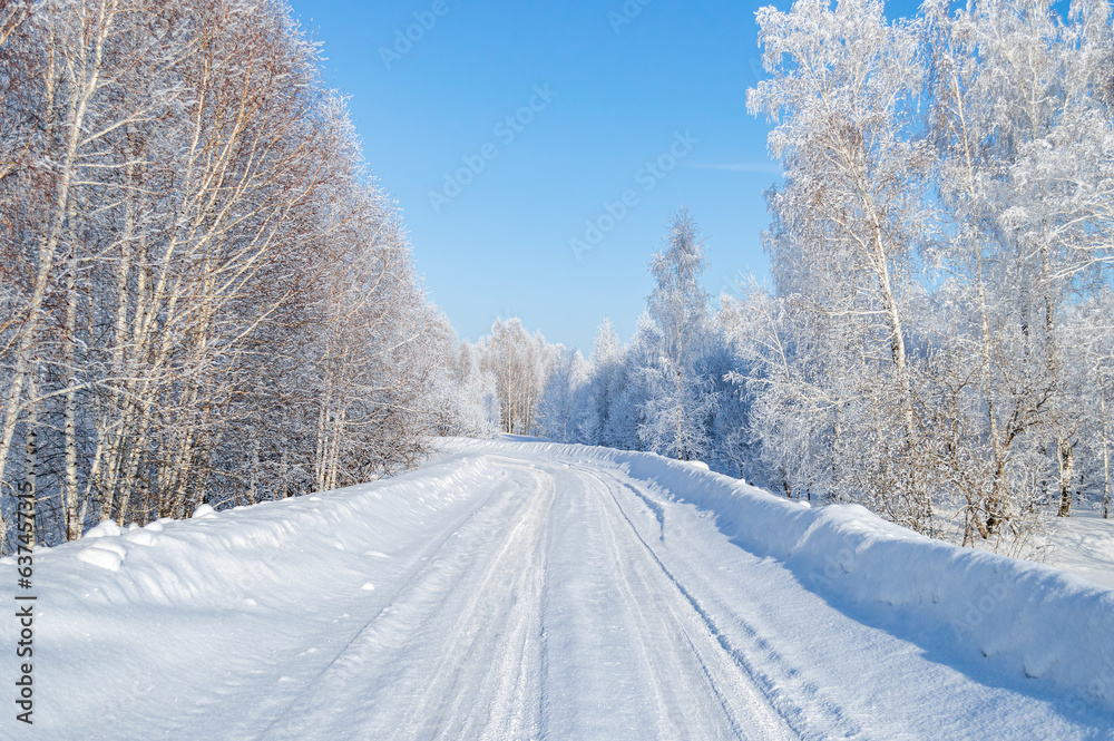 Obraz premium Snow-Covered Winter Country Road with Trees on the Edges