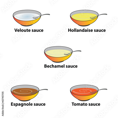 Set of five sauces like Veloute, Hollandaise, Bechamel, Espagnole and Tomato