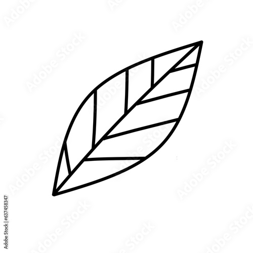 single leaf outline