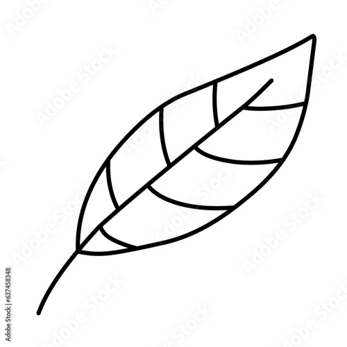 single leaf outline