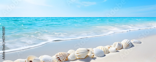 Shells at the sandy beach. Summer beach background.