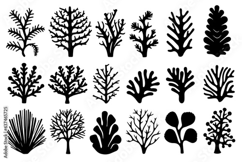 Photographie Hand drawn set of corals and seaweed silhouette isolated on white background
