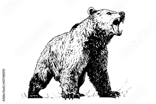 Ink hand drawing sketch bear mascot or logotype. Vector Illustration in engraving style.