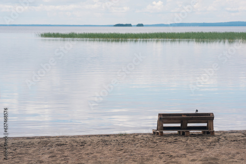 bird sitting on a bench made of old pallets on a sandy shore of a vast lake © Evgeny