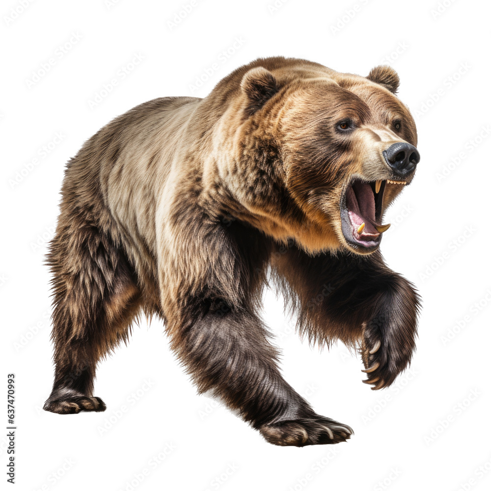 Obraz premium a Grizzly bear full body in an aggressive stance, 3/4 view in a Wildlife-themed, photorealistic illustration in a transparent PNG, cutout, and isolated. generative ai