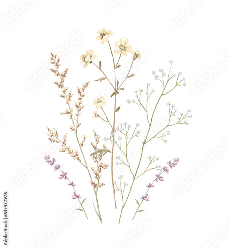 Vintage floral composition bouquet with meadow dried flowers isolated on white background. Watercolor hand drawn illustration sketch