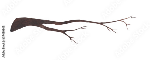 Watercolor illustration of a dry tree branch isolated on a white background. Hand-drawn. The texture of watercolor on paper. A bare branch of an old tree. Bough without leaves. An element for design.