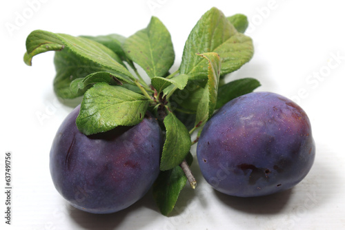large seasonal plums and black ovals-