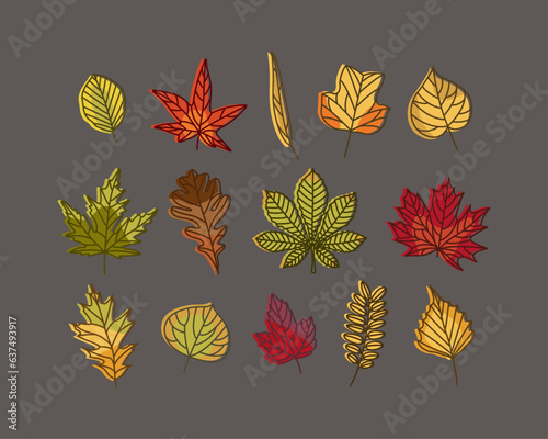 Autumn Leaves Fall Leaf Collection on dark background