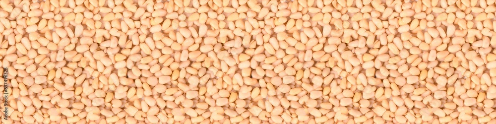 Seamless long banner, Pine nuts top view. Seamless long banner, Pine nuts top view.