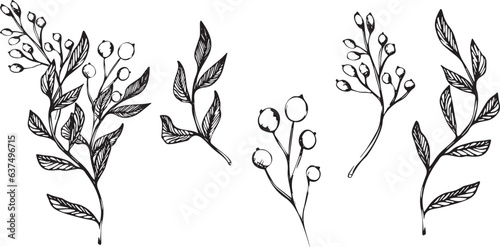 Leinwand Poster Vector set of branch with berries