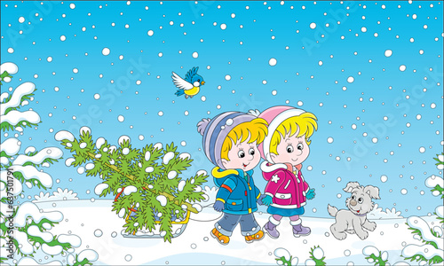 Happy little kids with a cheerful pup carrying a small snowy fir tree on their sled through a snow-covered forest to decorate it for merry Christmas, vector cartoon illustration