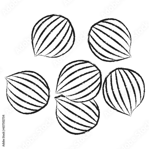 Hand drawn Coriander icon