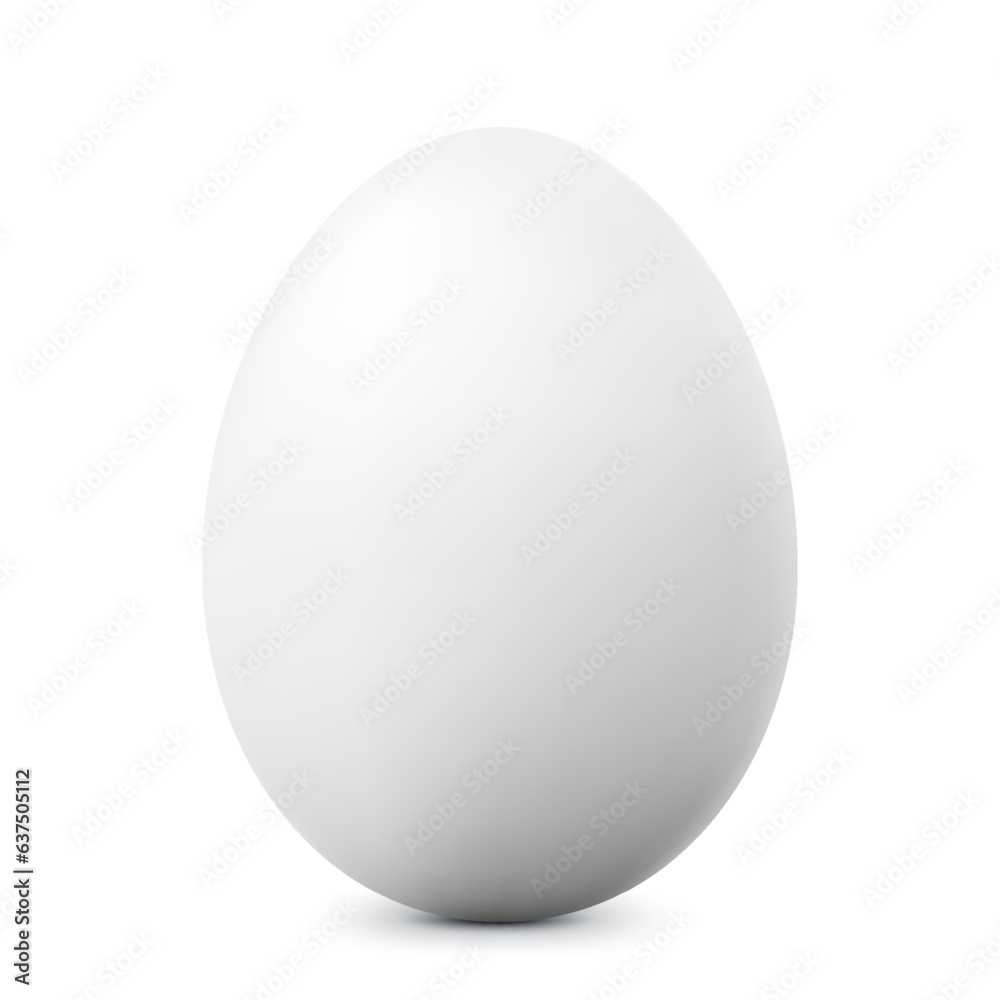 White single animal egg. Chicken egg with soft shadows isolated on white background. Template for Easter holiday. Realistic 3D vector illustration White single animal egg. Chicken egg with soft shadows isolated on white background. Template for Easter holiday. Realistic 3D vector illustration