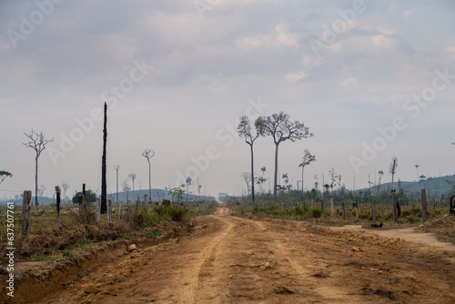 Amazon rainforest dirt road crosses deforested and degraded cattle pasture land at livestock farm. Amazonas, Brazil. Concept of environment, ecology, global warming, climate change, agriculture.
