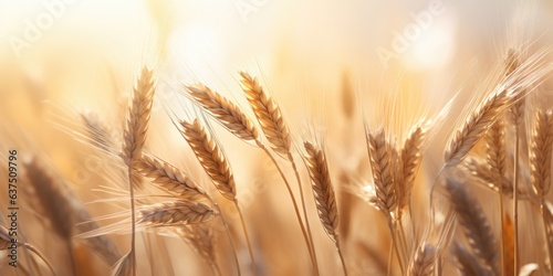 A field of golden wheat swayed in the breeze. Generative AI