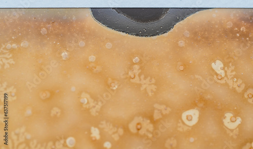 Detail of chemical weathering on Polaroid surface. Vintage Instant print close up.