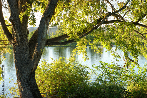 Beautiful landscape with river and trees along shore