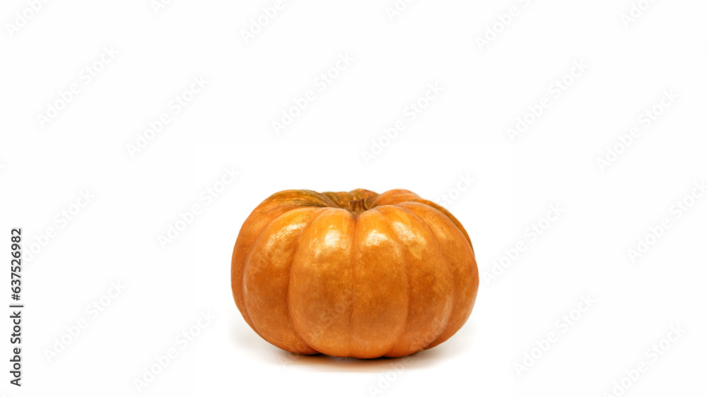 Obraz premium pumpkin isolated on white