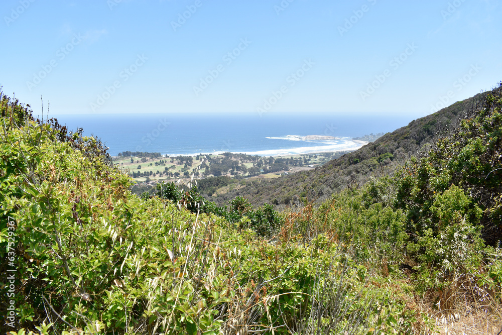 Paisaje y senderos naturales en cerro con vista a la costa 