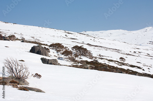Slopes in Charlotte's Pass ski resort in Australia