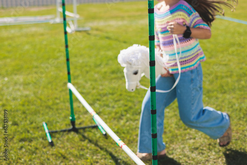 Photography Hobby horsing competition on a green grass, hobby horse riders jumping, equestri
