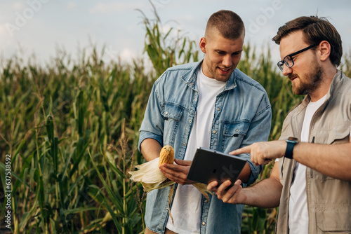 Two agronomists checking the quality of a corn crop.