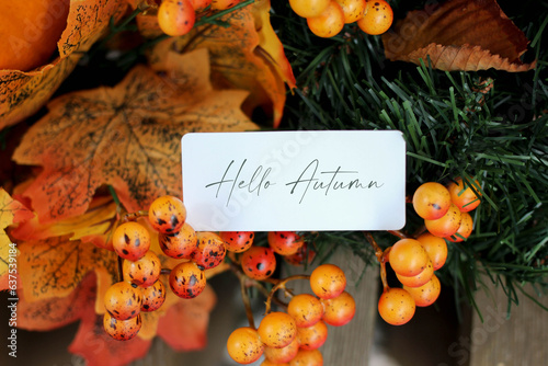 Atmospheric autumn photo with phrase hello autumn, fall season starts