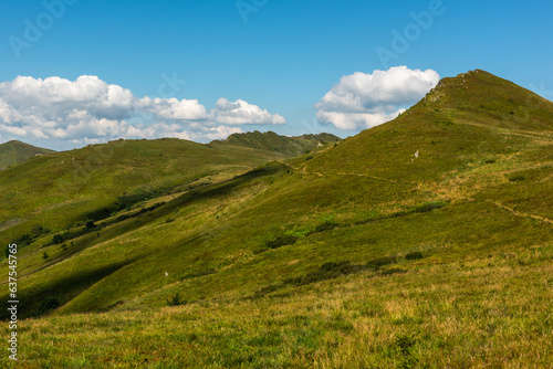 Wilderness and scenic nature and alpine landscape at summer in Bieszczady Mountains, Carpathians, Poland.