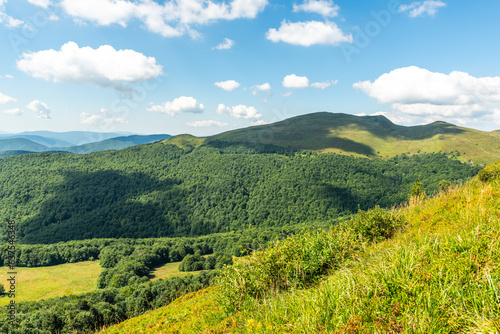 Wilderness and scenic nature and alpine landscape at summer in Bieszczady Mountains, Carpathians, Poland.