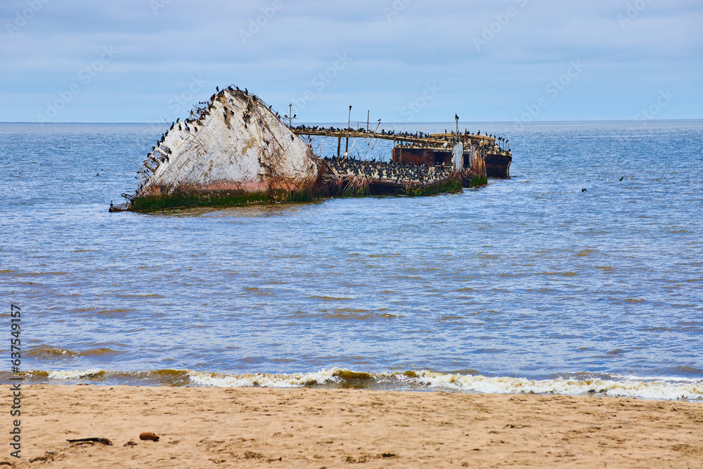 Seacliff State Beach old shipwreck with busted hull and birds on skeletal remains