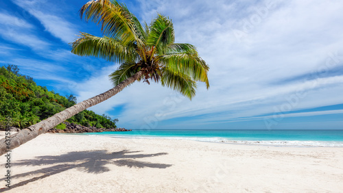 Palm trees in white sand on tropical Anse Georgette Beach, Praslin island, Seychelles.