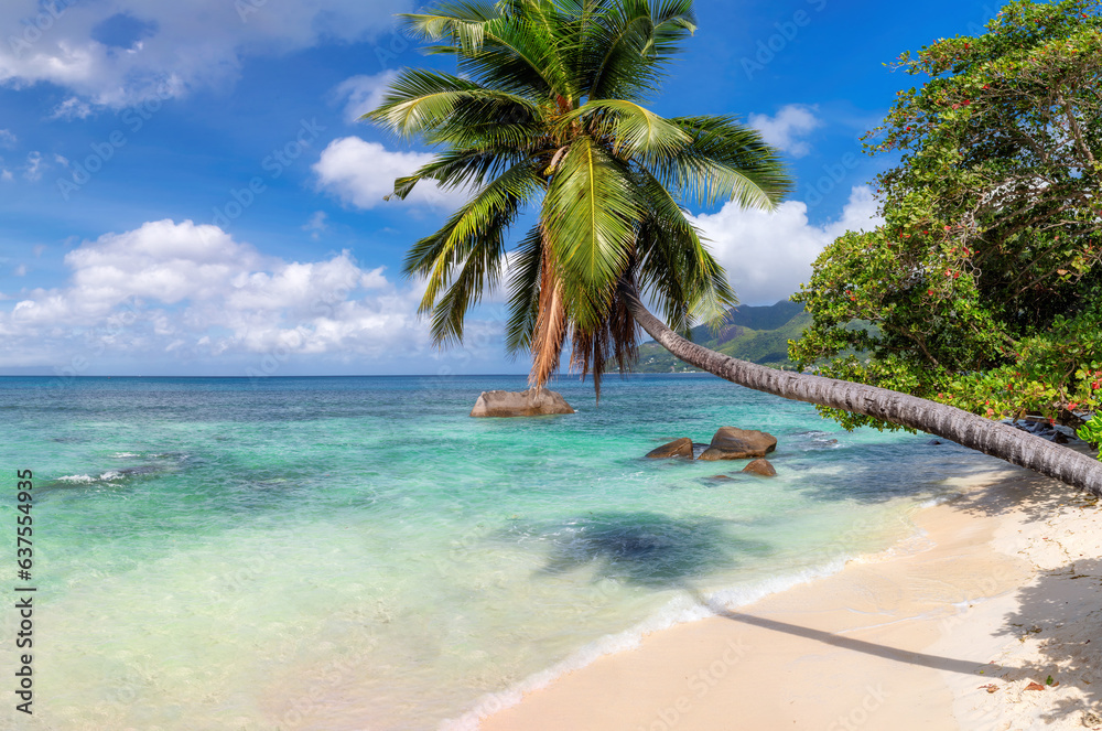 Exotic Sunny beach, coconut palms and turquoise sea in Seychelles. Summer vacation and tropical beach concept.