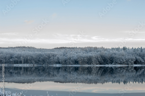 Winter European landscape. A winter forest covered with light snow is reflected in the lake.
