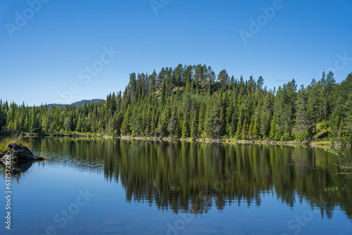 Scenic view of a lake, blue sky and pine forest reflected in water
