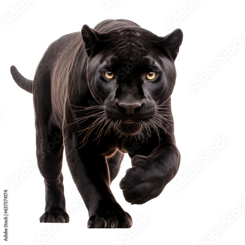 a Black Jaguar, forward aggressive action, full body, frontal view, in a Nature-themed, illustration in a PNG, cutout, and isolated. Generative ai