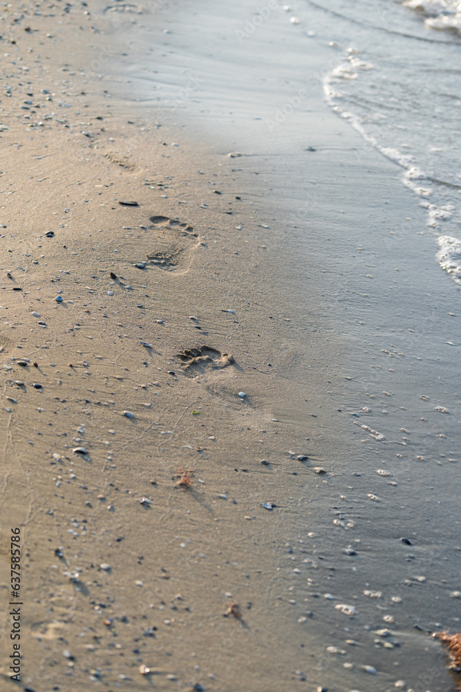Soft ocean wave on sandy beach on sunset time, selective focus, textured pattern Soft ocean wave on sandy beach on sunset time, selective focus, textured pattern
