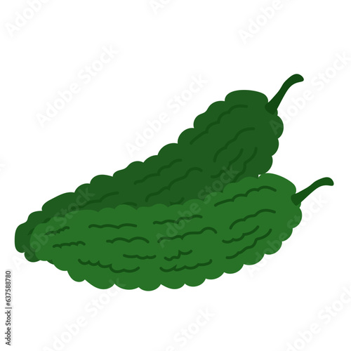Bitter gourd or pare vegetable, hand drawn peria or paria vegetables, cartoon flat illustration
