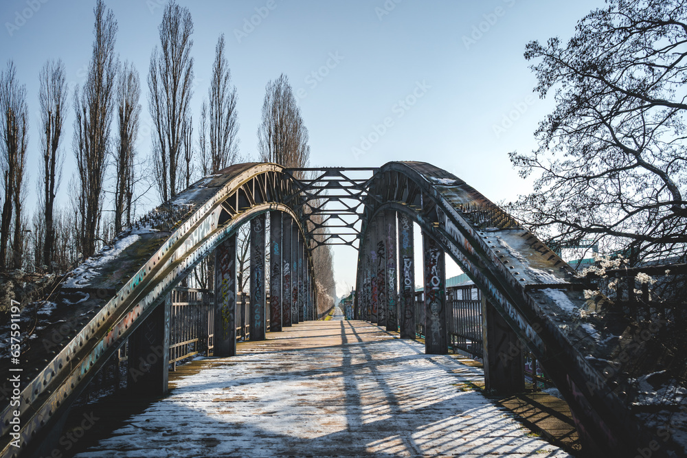 Fototapeta premium bridge over the river in the forest in winter