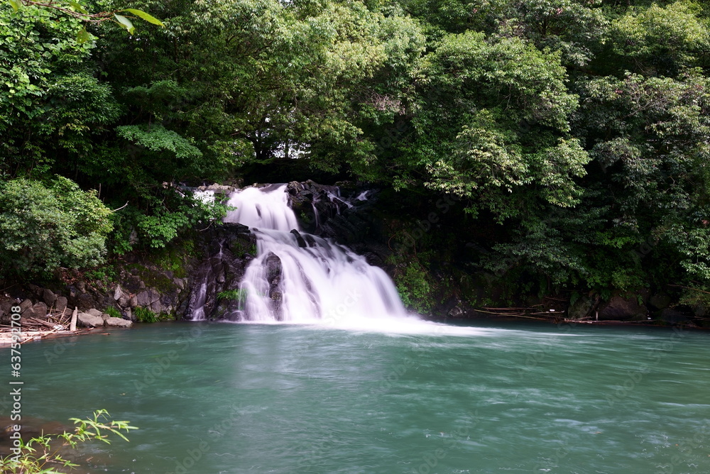 Fototapeta premium 郡山の轟の滝の自然風景