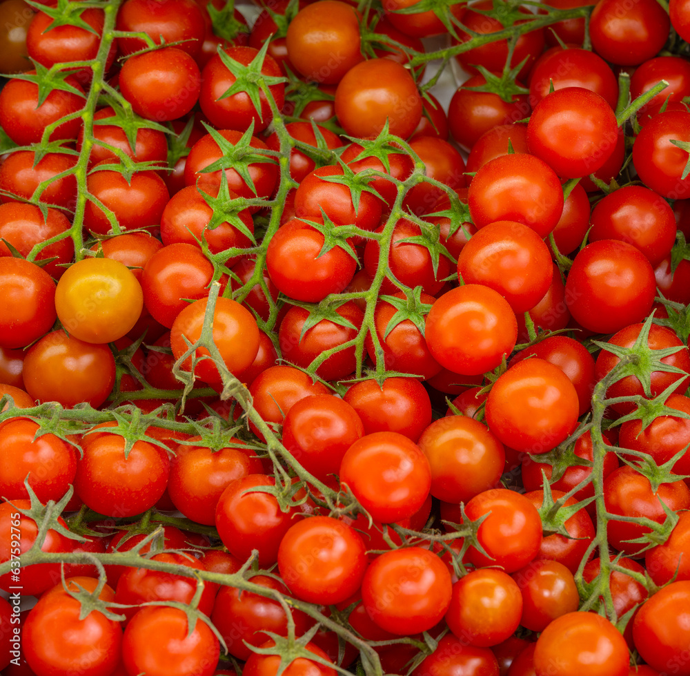Beautiful cherry tomatoes in a market